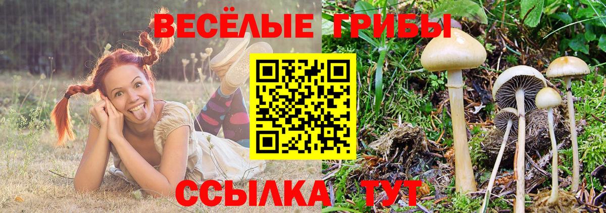 Псилоцибиновые грибы MAGIC MUSHROOMS  хочу   Еманжелинск  Псилоцибиновые грибы мицелий  Вход с VPN 
